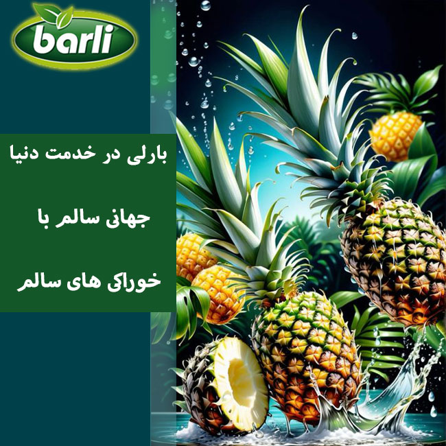 میوه های منجمد بارلی