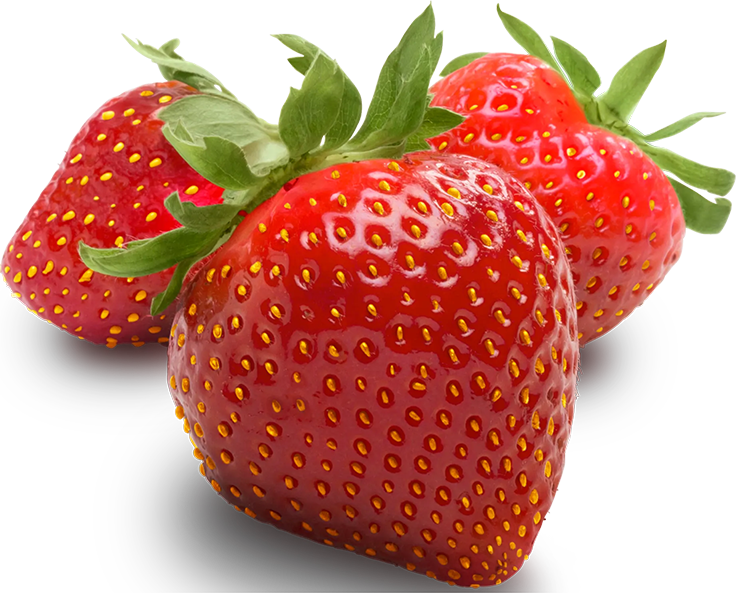 توت فرنگی - بارلی