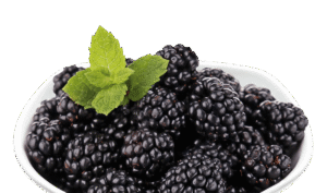 تمشک منجمد - بارلی